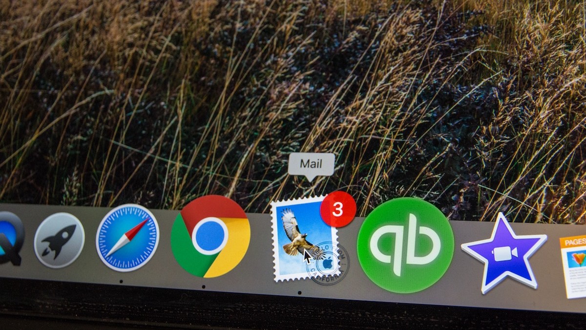 Dollars in Your Inbox: Why Collecting Email Addresses Still Matters